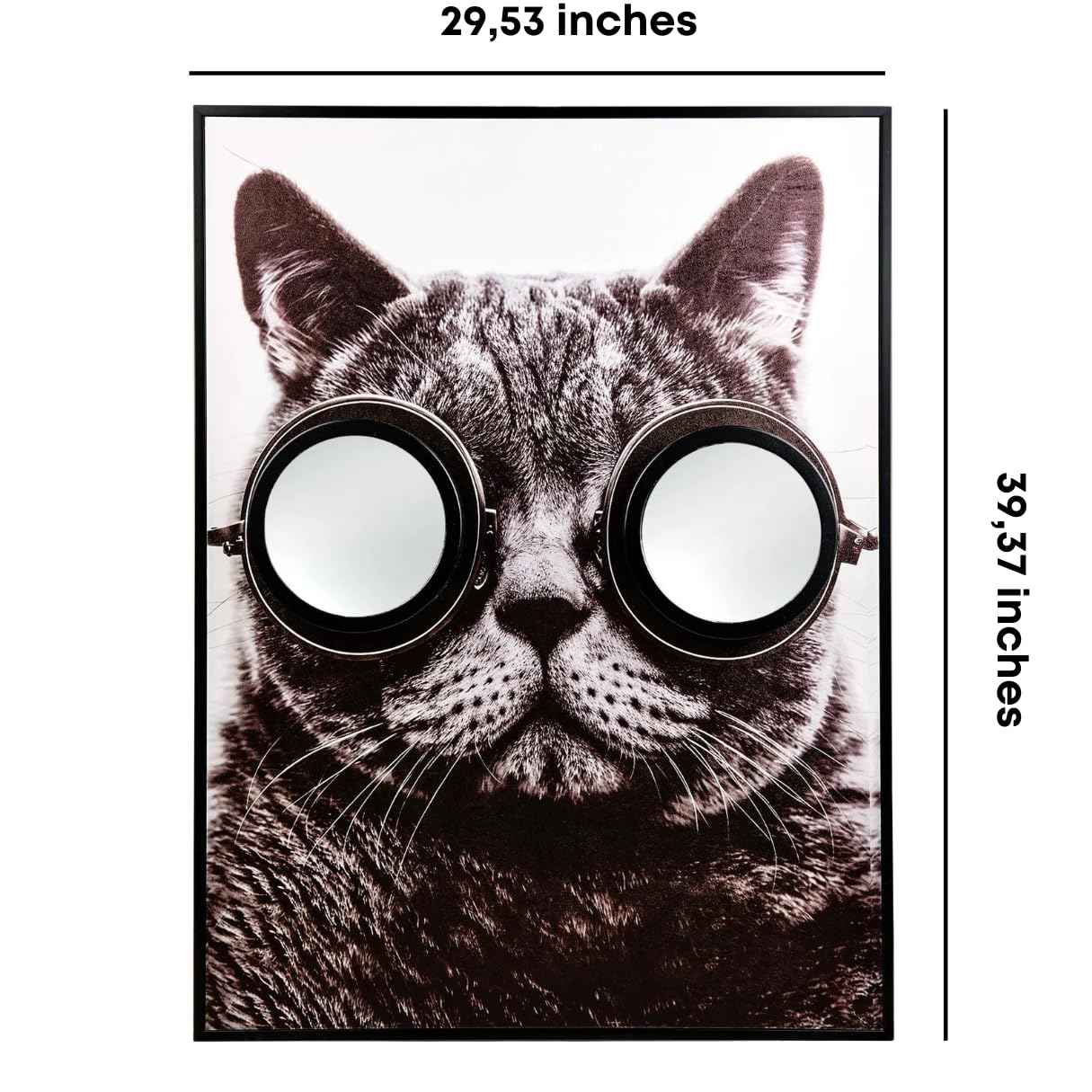 Black and White & Colorful Mirrored Cat Canvas, Framed